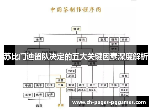 苏比门迪留队决定的五大关键因素深度解析 苏比门迪留队决定的五大关键因素深度解析