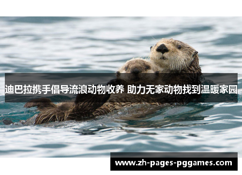 迪巴拉携手倡导流浪动物收养 助力无家动物找到温暖家园