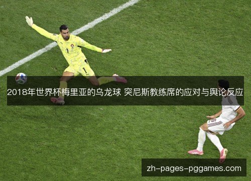 2018年世界杯梅里亚的乌龙球 突尼斯教练席的应对与舆论反应 2018年世界杯梅里亚的乌龙球 突尼斯教练席的应对与舆论反应